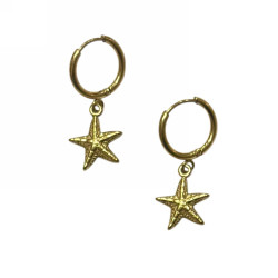 Γυναικεία Σκουλαρίκια 40104-017