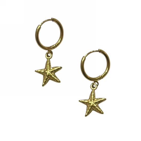 Γυναικεία Σκουλαρίκια 40104-017