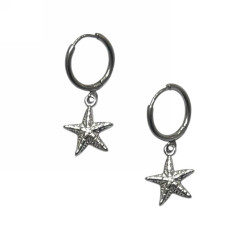 Γυναικεία Σκουλαρίκια 40104-015