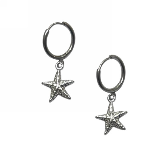 Γυναικεία Σκουλαρίκια 40104-015