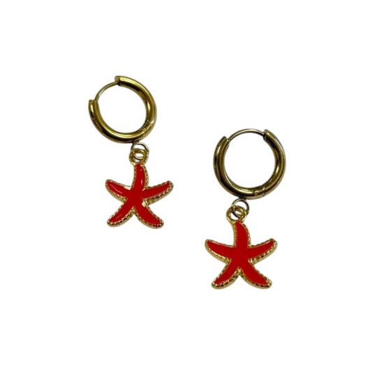 Γυναικεία Σκουλαρίκια 40104-009