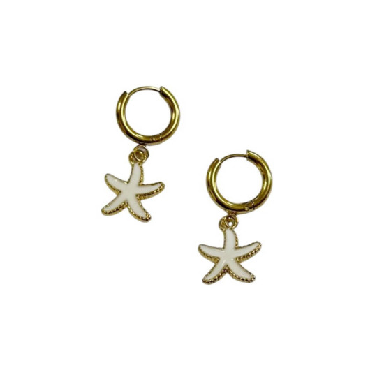 Γυναικεία Σκουλαρίκια 40104-005